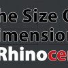 size-of-dimensions-in-rhinoceros
